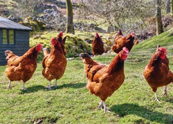 Türk bilim adamlarından inanılmaz buluş