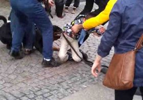 Sokak ortasında köpek saldırısı dehşeti