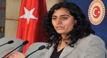 BDP'den anadilde eğitim için araştırma talebi