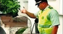 Gözcü papağana gözaltı