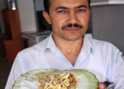 Kestiği kavunun içinin filizlendiğini görünce şaşırdı