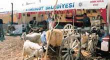 Etimesgut'ta festival var