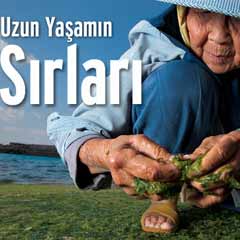 Uzun yaşamın sırrı