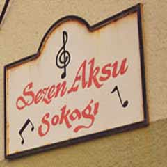 Sezen Aksu'ya muhtar sahip çıktı