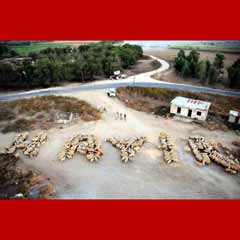 400 koyuna 'Hayır' dedirtti
