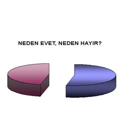 İşte vatandaşın referandum anketi