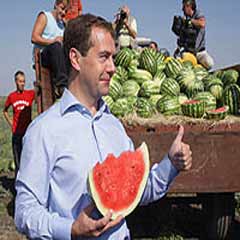 Medvedev Putin'e özendi, tarlada karpuz yedi