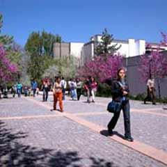 Üniversitelere kayıt yarın başlıyor