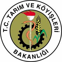 Tarım Bakanlığı'ndan şap yalanlaması