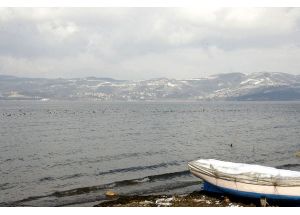 Kar Suyu, Sapanca Gölü'nün Su Kalitesini Artırıyor