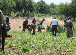 PKK'ya tarihi darbe!