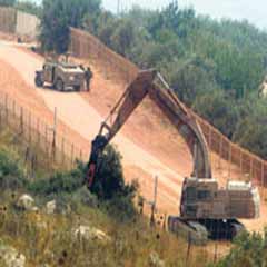 Ağaçlar gitti gerilim bitti