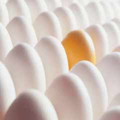Bakteriler protein seviyor