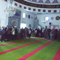 Camiler iraddan nasıl mahrum kaldı?