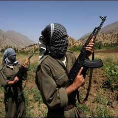 'PKK bir Türk örgütüdür'
