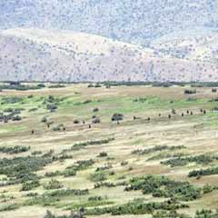 Gediktepe için önemli iddia
