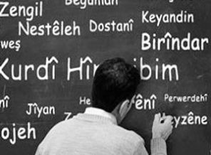 Kürtçe eğitimi durdurdu !