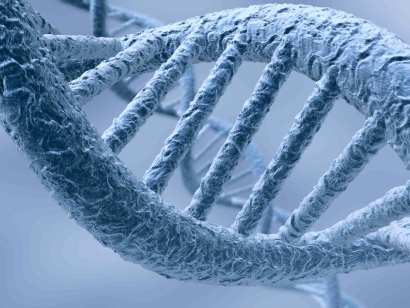 DNA testi idamdan kurtardı  