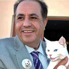 Ankara-Van kedi polemiği büyüyor