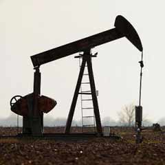 53 kuyudan petrol, 30'unda gaz bulundu