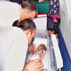 Seraj bebek Türkiye'de