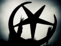 'Türkiye İslam ülkeleri için model'