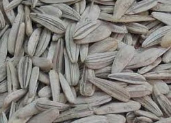 Bir faydası daha çıktı