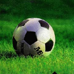 Bursaspor, kalitesini tescil ettirdi