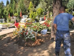 Şehidin mezarında yürek burkan tablo