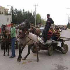 Kızıltepe'de 150 at arabalı eylem