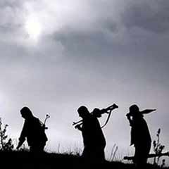 İnterpol'den PKK'ya ŞOK operasyon!