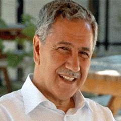 Arınç referandum mantığı açıkladı!
