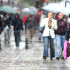 Türkiye yağışlı havanın etkisinde
