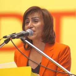 Aysel Tuğluk'un yargılanmasına devam edildi