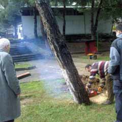 Ağaç kesen İTÜ'ye ceza yağdı