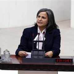 BDP AK Parti'yi suçladı!