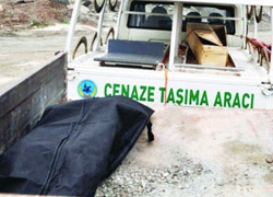 Töreniz batsın