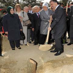 Gül, Manisa'da çam fidanı dikti