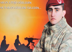 'Torunumu koyun sürer gibi...'