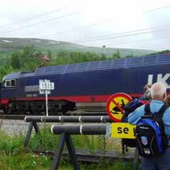 Norveç'te sıradışı tren kazası