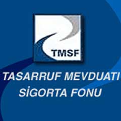 TMSF'den Hazine'ye 250 milyon dolar