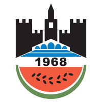 Diyarbakır küme düşmedi!
