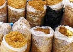 Kadirli'de 500 kilo kaçak tütün ele geçirildi