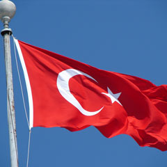 Bayrak indiren göstericiye 7 yıl 9 ay hapis