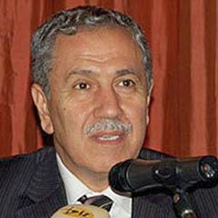 Arınç: Bu gözaltılar iyi takip edilmeli