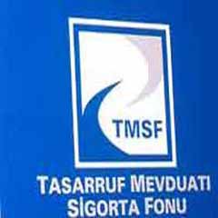 FLAŞ: İşte TMSF'nin yeni başkanı