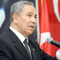 Arınç: Demokrasiye balans ayarı yapıyoruz