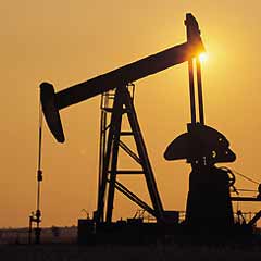 Arap dünyası 2010'da yüzde 3,6 büyüyecek