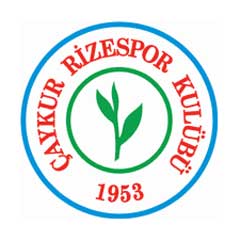 Çaykur Rizespor tarihi kitaplaştırıldı