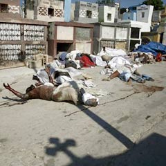 Türkler Haiti'de kahraman ilan edildi